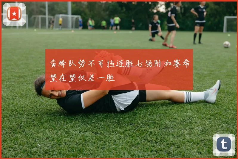 黄蜂队势不可挡连胜七场附加赛希望在望仅差一胜