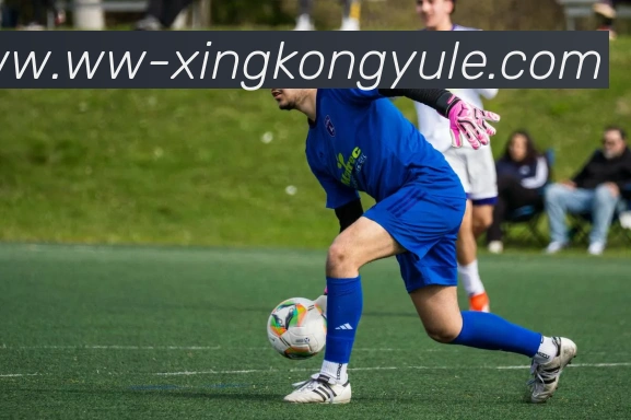 星空娱乐服务体系